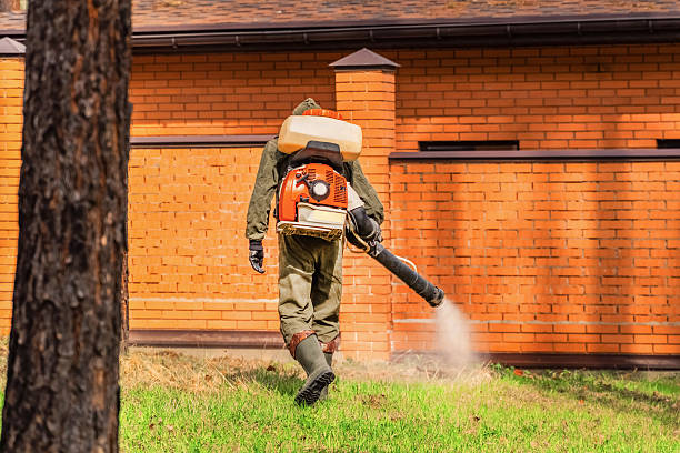 Trusted Cockroach Control service in Northwest Harwich, MA - Nex Pest Control